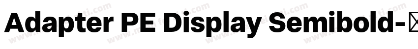Adapter PE Display Semibold字体转换